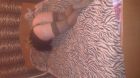 Лия (карамелька)  (sexoperm.men)