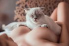Девушки Перми — инди АЛИСА VIP