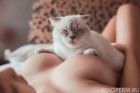 АЛИСА VIP, 8 952 656-25-75